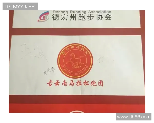 武汉城市马拉松评析极限运动队的技术表现与战术策略探讨