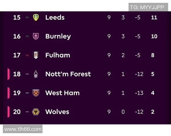 英超联赛中的狼队简介